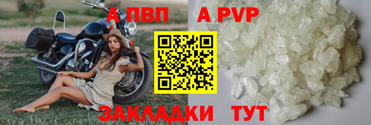 A-PVP СК КРИС  Alpha-PVP мука  продажа наркотиков  Ртищево  Вход с VPN 