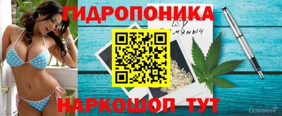 стаф Обнинск