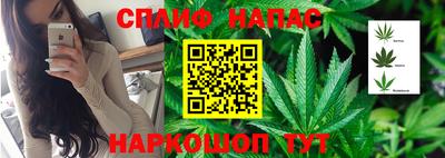 стаф Обнинск
