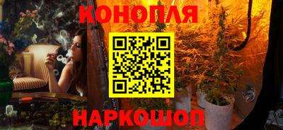 стаф Обнинск