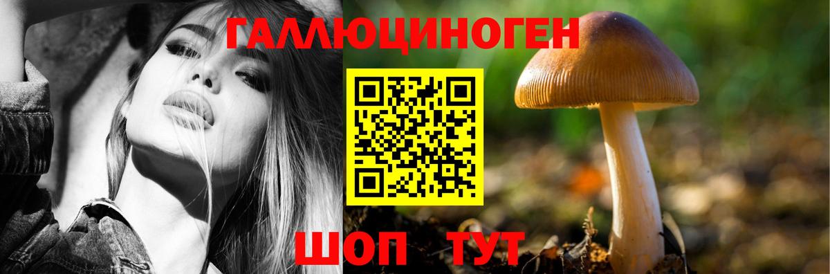 Галлюциногенные грибы Magic Shrooms  магазин  наркотиков  Ртищево  Галлюциногенные грибы Psilocybe  Вход с VPN 